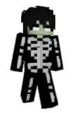 Akusteen Minecraft avatar full body