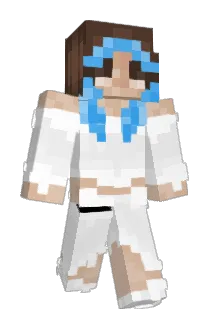 Aladi14 Minecraft avatar full body