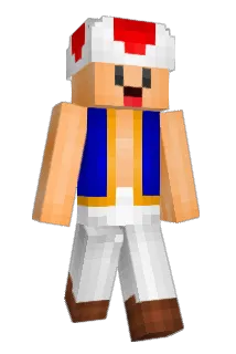 Alairandreau Minecraft avatar full body