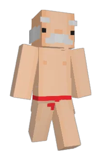 Alan216 Minecraft avatar full body