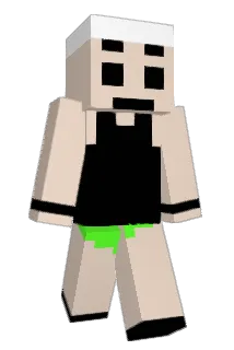 Alanpda Minecraft avatar full body