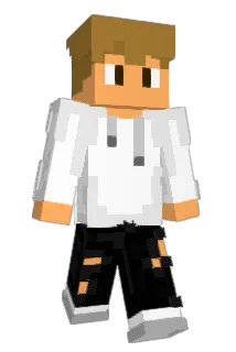 Alawks Minecraft avatar full body