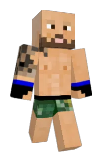 AlbaniaMonke53 Minecraft avatar full body
