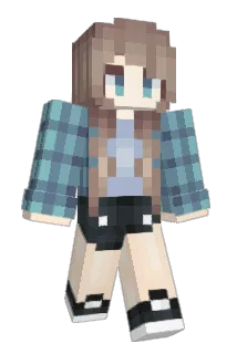 Album_you Minecraft avatar full body