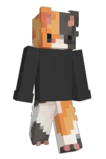 AldwynRobin Minecraft avatar full body