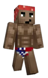 Custom render preview