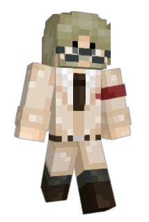 Alee1212 Minecraft avatar full body