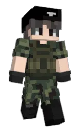 Custom render preview