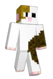 Alganer Minecraft avatar full body