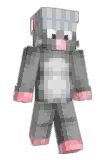 AlgerienMalin Minecraft avatar full body