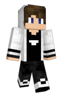 Algorithm_ Minecraft avatar full body