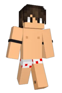AliTxT31 Minecraft avatar full body