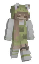 Custom render preview