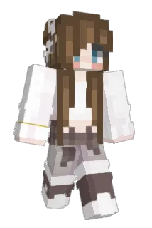 AliliMD Minecraft avatar full body