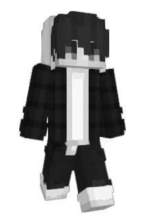 Alinailpro55 Minecraft avatar full body