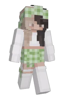 Alixotv Minecraft avatar full body