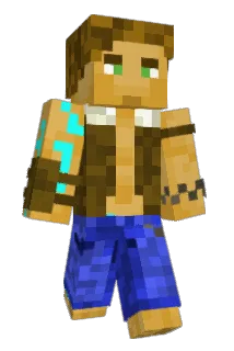 AllWild1 Minecraft avatar full body