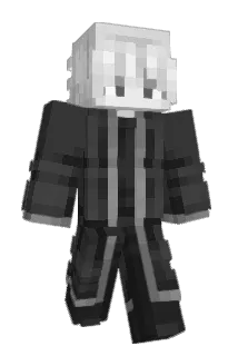 Allain1406 Minecraft avatar full body