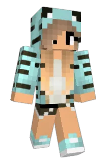 Allcats143 Minecraft avatar full body