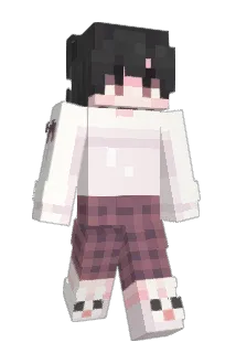 Allen_p Minecraft avatar full body
