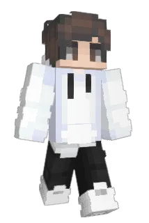 Allenmj1 Minecraft avatar full body