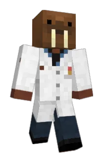 Allmoz Minecraft avatar full body