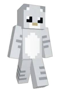 Allstar135 Minecraft avatar full body