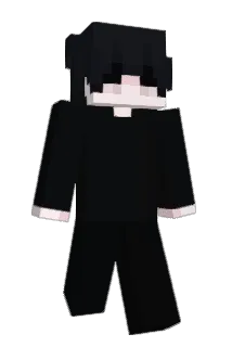 Allversee Minecraft avatar full body
