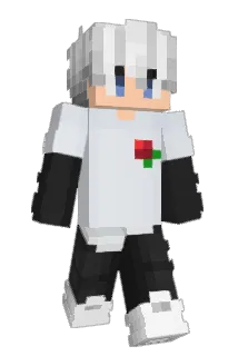 Aloalodzmerpapi Minecraft avatar full body