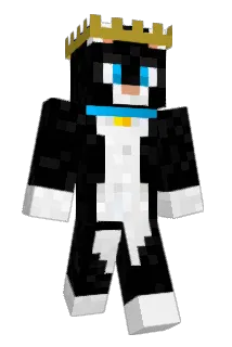 Aloom Minecraft avatar full body