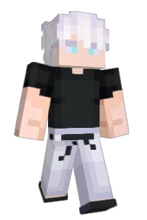 Alparax100 Minecraft avatar full body