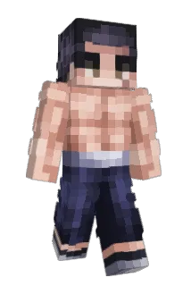 Alternate465 Minecraft avatar full body