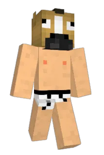AlvaroZa Minecraft avatar full body