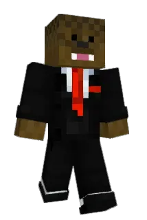 AmAimBun Minecraft avatar full body