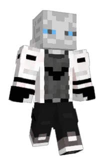 AmWompist Minecraft avatar full body
