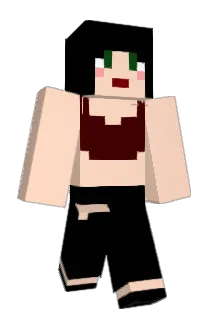 Amandadlc19 Minecraft avatar full body