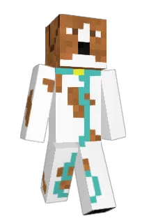 AmazonEchoo Minecraft avatar full body