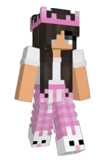 Ami11 Minecraft avatar full body
