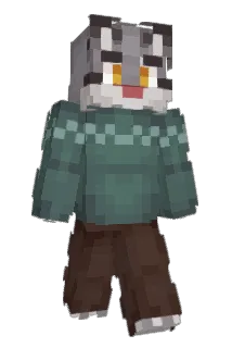 Amicusz Minecraft avatar full body