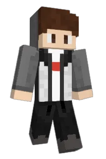 Aminir Minecraft avatar full body