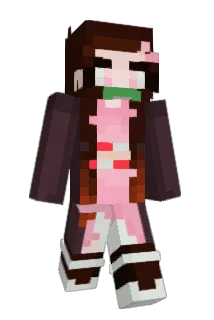 Amir2402 Minecraft avatar full body