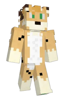 AmokeusRotasch Minecraft avatar full body
