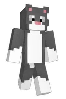 Amourousity Minecraft avatar full body