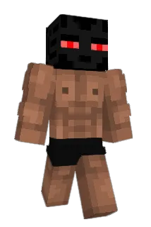 AmriixACE Minecraft avatar full body