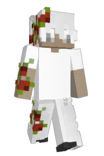 Amuachan Minecraft avatar full body