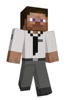 An29 Minecraft avatar full body