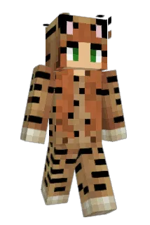 AnMeow Minecraft avatar full body