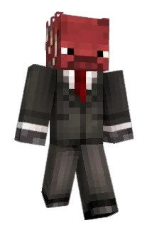 AnaLinki_ Minecraft avatar full body