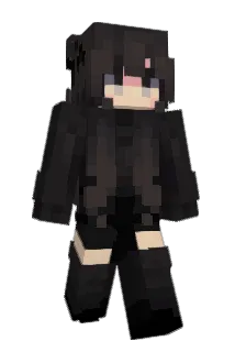 Analogs Minecraft avatar full body