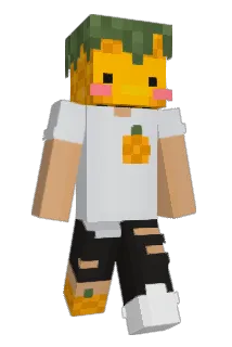 Ananashole Minecraft avatar full body